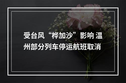 受台风“桦加沙”影响 温州部分列车停运航班取消