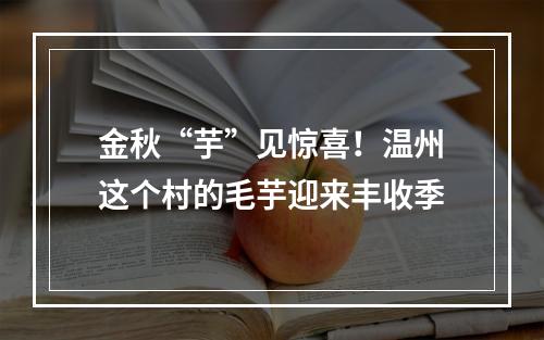 金秋“芋”见惊喜！温州这个村的毛芋迎来丰收季