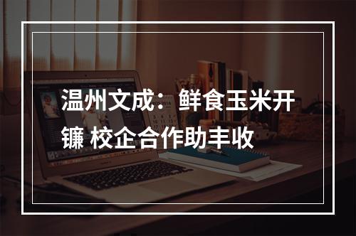 温州文成：鲜食玉米开镰 校企合作助丰收