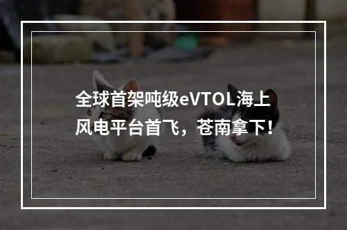 全球首架吨级eVTOL海上风电平台首飞，苍南拿下！