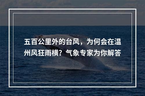 五百公里外的台风，为何会在温州风狂雨横？气象专家为你解答