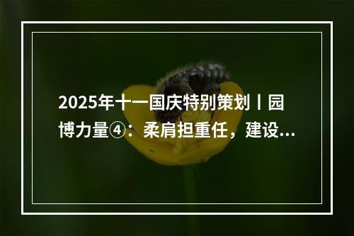 2025年十一国庆特别策划丨园博力量④：柔肩担重任，建设热土上的铿锵玫瑰！