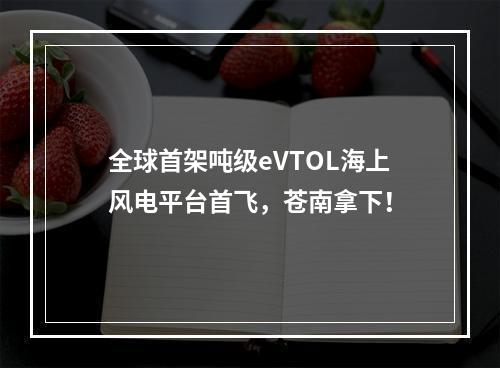 全球首架吨级eVTOL海上风电平台首飞，苍南拿下！