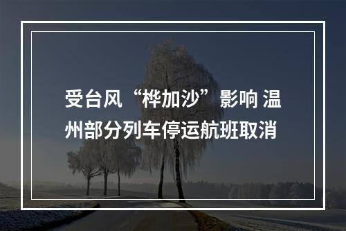受台风“桦加沙”影响 温州部分列车停运航班取消