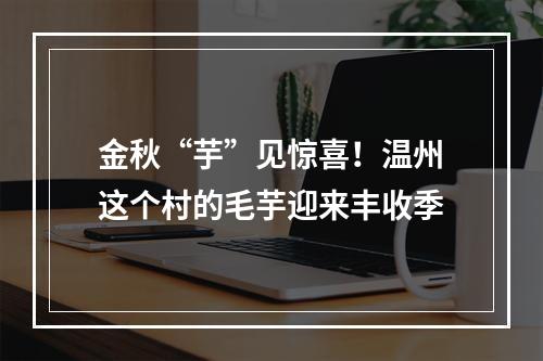 金秋“芋”见惊喜！温州这个村的毛芋迎来丰收季