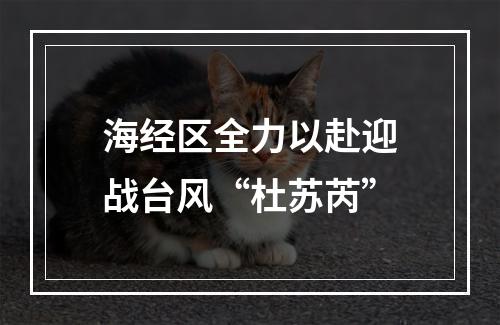 海经区全力以赴迎战台风“杜苏芮”