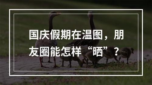 国庆假期在温图，朋友圈能怎样“晒”？