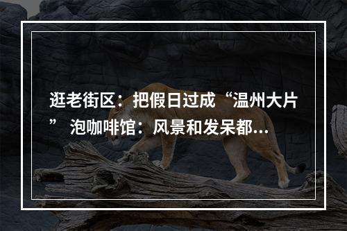 逛老街区：把假日过成“温州大片” 泡咖啡馆：风景和发呆都是免费的