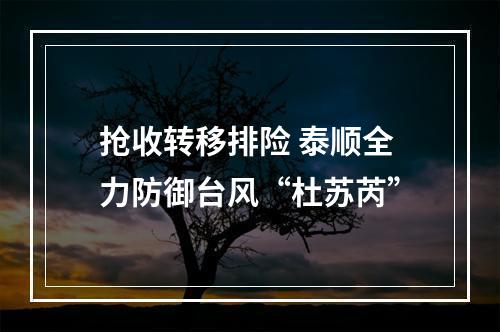 抢收转移排险 泰顺全力防御台风“杜苏芮”