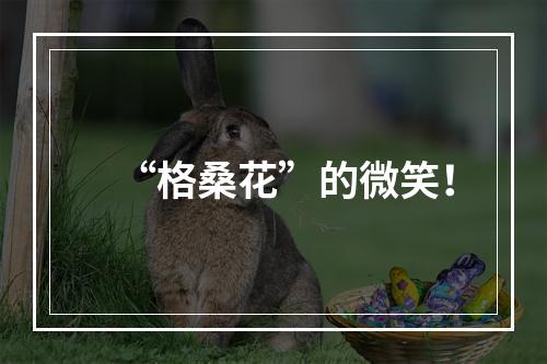 “格桑花”的微笑！