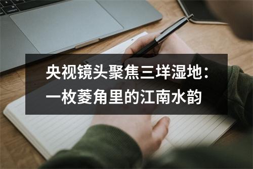 央视镜头聚焦三垟湿地：一枚菱角里的江南水韵