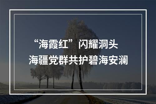 “海霞红”闪耀洞头 海疆党群共护碧海安澜