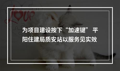 为项目建设按下“加速键” 平阳住建局质安站以服务见实效