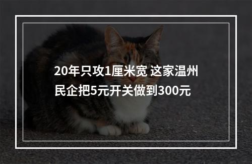 20年只攻1厘米宽 这家温州民企把5元开关做到300元
