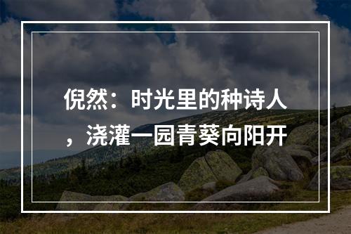 倪然：时光里的种诗人，浇灌一园青葵向阳开
