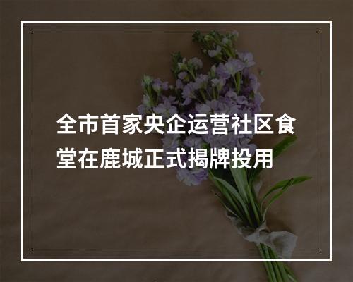 全市首家央企运营社区食堂在鹿城正式揭牌投用