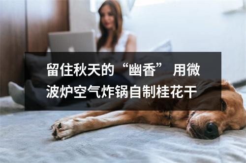 留住秋天的“幽香” 用微波炉空气炸锅自制桂花干