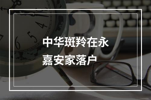 中华斑羚在永嘉安家落户