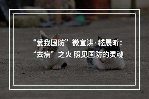 “爱我国防”微宣讲·嵇晨昕：“去病”之火 照见国防的灵魂