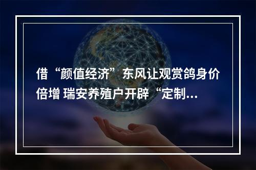 借“颜值经济”东风让观赏鸽身价倍增 瑞安养殖户开辟“定制宠物鸽”新赛道
