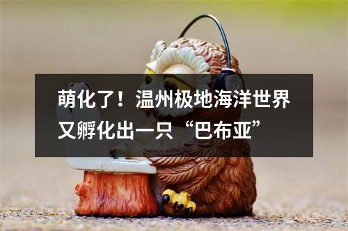 萌化了！温州极地海洋世界又孵化出一只“巴布亚”