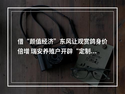 借“颜值经济”东风让观赏鸽身价倍增 瑞安养殖户开辟“定制宠物鸽”新赛道