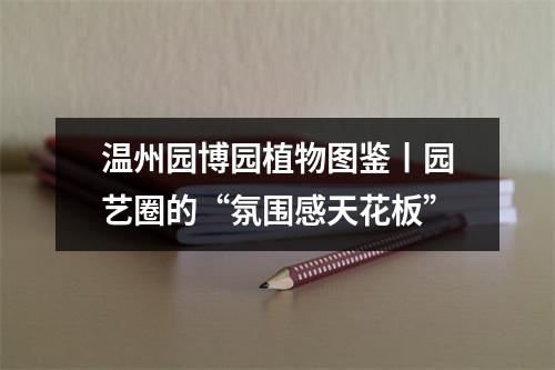 温州园博园植物图鉴丨园艺圈的“氛围感天花板”
