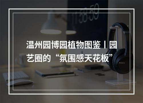 温州园博园植物图鉴丨园艺圈的“氛围感天花板”