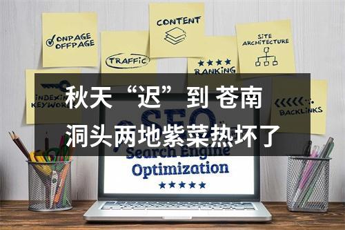 秋天“迟”到 苍南洞头两地紫菜热坏了