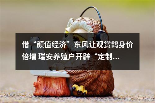 借“颜值经济”东风让观赏鸽身价倍增 瑞安养殖户开辟“定制宠物鸽”新赛道