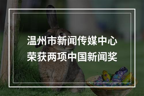 温州市新闻传媒中心荣获两项中国新闻奖
