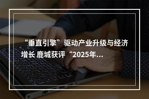 “垂直引擎”驱动产业升级与经济增长 鹿城获评“2025年楼宇经济十大活力城区”
