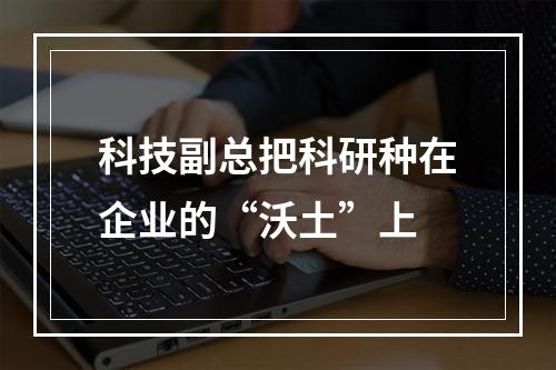 科技副总把科研种在企业的“沃土”上