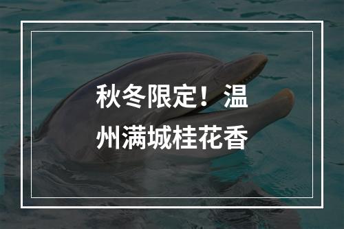 秋冬限定！温州满城桂花香