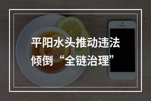 平阳水头推动违法倾倒“全链治理”