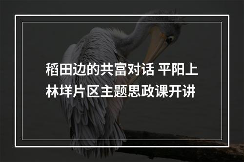 稻田边的共富对话 平阳上林垟片区主题思政课开讲