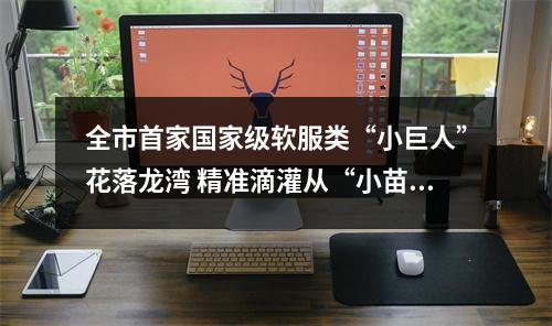 全市首家国家级软服类“小巨人”花落龙湾 精准滴灌从“小苗”起呵护