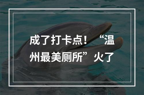 成了打卡点！“温州最美厕所”火了