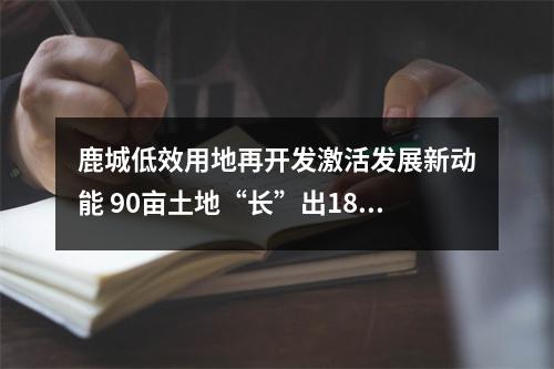 鹿城低效用地再开发激活发展新动能 90亩土地“长”出18亿元年产值