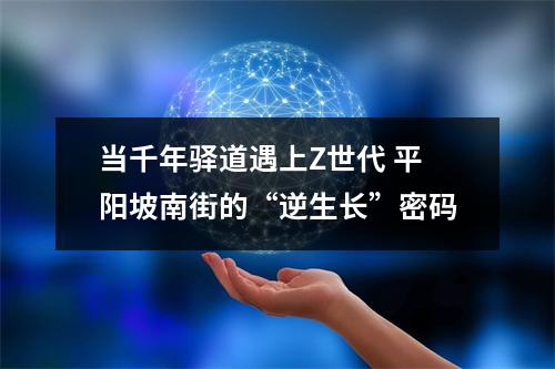当千年驿道遇上Z世代 平阳坡南街的“逆生长”密码