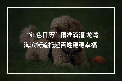 “红色日历”精准滴灌 龙湾海滨街道托起百姓稳稳幸福