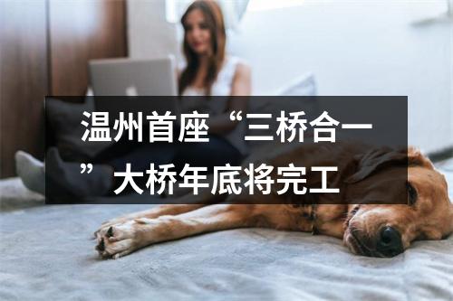 温州首座“三桥合一”大桥年底将完工