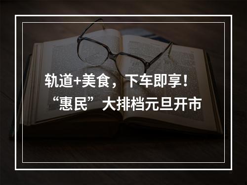 轨道+美食，下车即享！“惠民”大排档元旦开市