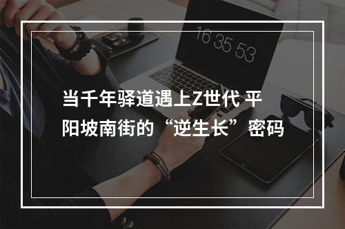 当千年驿道遇上Z世代 平阳坡南街的“逆生长”密码