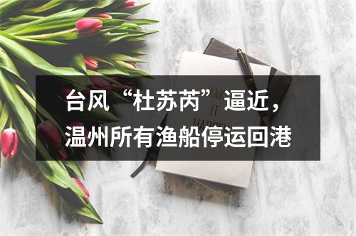 台风“杜苏芮”逼近，温州所有渔船停运回港