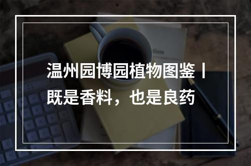 温州园博园植物图鉴丨既是香料，也是良药