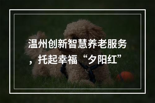 温州创新智慧养老服务，托起幸福“夕阳红”