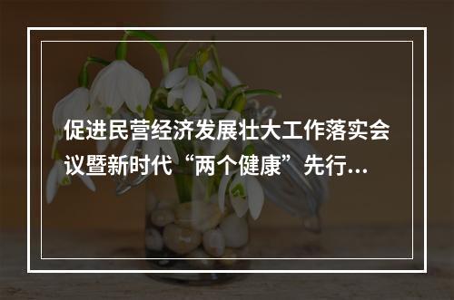 促进民营经济发展壮大工作落实会议暨新时代“两个健康”先行区创建经验推广试点工作会议在温举行