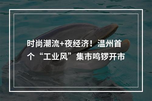 时尚潮流+夜经济！温州首个“工业风”集市鸣锣开市