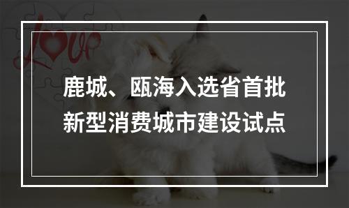 鹿城、瓯海入选省首批新型消费城市建设试点
